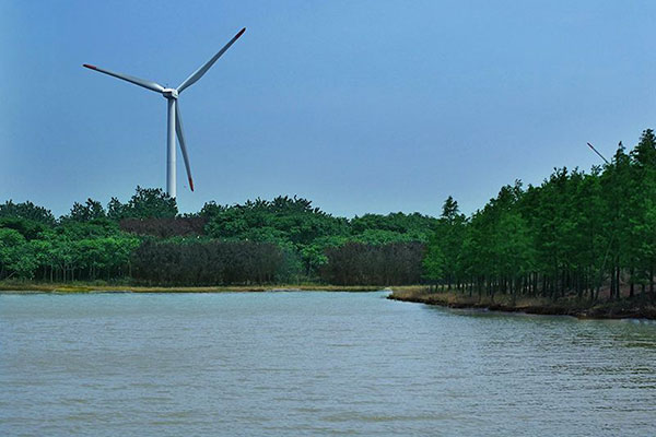 上海滨海森林公园生态拓展训练基地