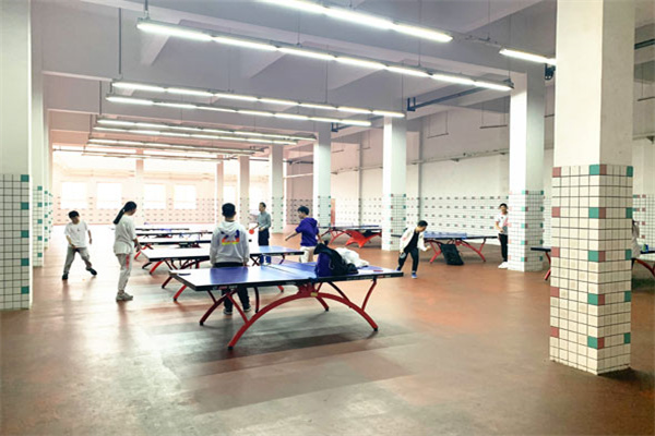 上海乒乓球夏令营多少钱?价格项目一览